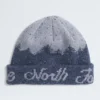 Cabin Mountainscape Beanie