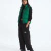 Damen 1996 Retro Nuptse DTM Weste Damen 1996 Retro Nuptse DTM Weste