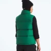 Damen 1996 Retro Nuptse DTM Weste Damen 1996 Retro Nuptse DTM Weste