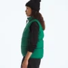 Damen 1996 Retro Nuptse DTM Weste Damen 1996 Retro Nuptse DTM Weste