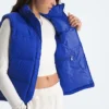 Damen 1996 Retro Nuptse DTM Weste Damen 1996 Retro Nuptse DTM Weste