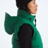 Damen 1996 Retro Nuptse DTM Weste Damen 1996 Retro Nuptse DTM Weste