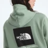 Damen-Hoodie Evolution Box NSE Regular Damen-Hoodie Evolution Box NSE Regular