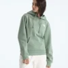 Damen-Hoodie Evolution Box NSE Regular Damen-Hoodie Evolution Box NSE Regular