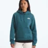 Damen-Hoodie Evolution Box NSE Regular Damen-Hoodie Evolution Box NSE Regular