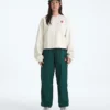 Damen TNF™ Red Box Crew Damen TNF™ Red Box Crew
