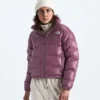Damenjacke 2000 Retro Nuptse Damenjacke 2000 Retro Nuptse