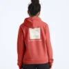 Evolution Box NSE Fill Light Hoodie für Damen – Grafik Evolution Box NSE Fill Light Hoodie für Damen – Grafik