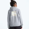 Evolution Box NSE Fill Light Hoodie für Damen – Grafik Evolution Box NSE Fill Light Hoodie für Damen – Grafik