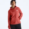 Evolution Box NSE Fill Light Hoodie für Damen – Grafik Evolution Box NSE Fill Light Hoodie für Damen – Grafik
