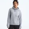 Evolution Box NSE Fill Light Hoodie für Damen – Grafik Evolution Box NSE Fill Light Hoodie für Damen – Grafik