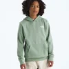 Evolution Box NSE Pullover Hoodie für Jungen und Mädchen – Grafik