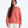 Evolution Simple Dome Oversized Crew für Damen Evolution Simple Dome Oversized Crew für Damen