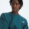 Evolution Simple Dome Oversized Crew für Damen Evolution Simple Dome Oversized Crew für Damen