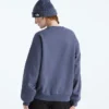 Evolution Simple Dome Oversized Crew für Damen Evolution Simple Dome Oversized Crew für Damen
