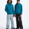 Evolution Simple Dome Pullover Hoodie für Jungen und Mädchen Evolution Simple Dome Pullover Hoodie für Jungen und Mädchen