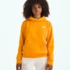 Evolution Simple Dome Pullover Hoodie für Jungen und Mädchen Evolution Simple Dome Pullover Hoodie für Jungen und Mädchen
