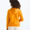 Evolution Simple Dome Pullover Hoodie für Jungen und Mädchen Evolution Simple Dome Pullover Hoodie für Jungen und Mädchen