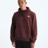 Herren Evolution Box Camo Fill Hoodie – Grafik