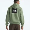 Herren Evolution Box NSE Regular Hoodie