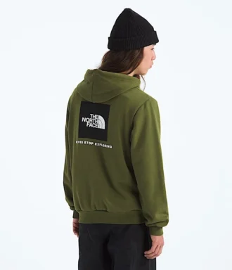 Herren Evolution Box NSE Regular Hoodie
