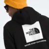 Herren Evolution Box NSE Regular Hoodie