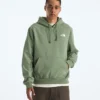 Herren Evolution Box NSE Regular Hoodie