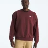 Herren Evolution Simple Dome Oversized Crew