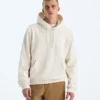 Herren Evolution Simple Dome Regular Hoodie