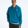 Herren Evolution Simple Dome Regular Hoodie