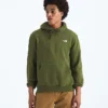 Herren Evolution Simple Dome Regular Hoodie