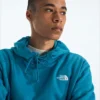 Herren Evolution Simple Dome Regular Hoodie