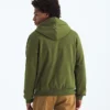 Herren Evolution Simple Dome Regular Hoodie