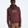 Herren Evolution TNF™ Bear Hoodie – Grafik Herren Evolution TNF™ Bear Hoodie – Grafik