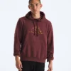 Herren Evolution TNF™ MTN Hoodie – Grafik