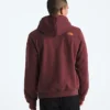 Herren Evolution TNF™ MTN Hoodie – Grafik