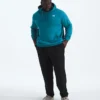 Herren-Hoodie „Big Evolution Simple Dome”