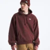 Herren-Hoodie Evolution Simple Dome Oversized Herren-Hoodie Evolution Simple Dome Oversized