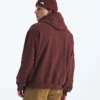 Herren-Hoodie Evolution Simple Dome Oversized Herren-Hoodie Evolution Simple Dome Oversized
