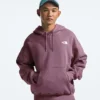 Herren-Hoodie Evolution Vintage Herren-Hoodie Evolution Vintage