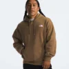 Herren-Hoodie Evolution Vintage Herren-Hoodie Evolution Vintage
