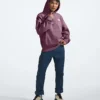 Herren-Hoodie Evolution Vintage Herren-Hoodie Evolution Vintage