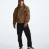 Herren-Hoodie Evolution Vintage Herren-Hoodie Evolution Vintage