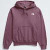 Herren-Hoodie Evolution Vintage Herren-Hoodie Evolution Vintage