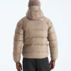Herren-Hoodie Hydrenalite™ Down