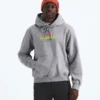 Herren-Hoodie TNF™ Essential Expedition Series – Grafik Herren-Hoodie TNF™ Essential Expedition Series – Grafik