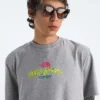 Herren-T-Shirt mit kurzen Ärmeln aus der TNF™ Essential Expedition-Serie – Grafik Herren-T-Shirt mit kurzen Ärmeln aus der TNF™ Essential Expedition-Serie – Grafik