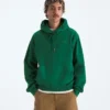 Herren TNF™ Essential Simple Dome Relaxed Hoodie