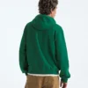 Herren TNF™ Essential Simple Dome Relaxed Hoodie