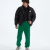 Herren TNF™ Essential Simple Dome Relaxed Pants Herren TNF™ Essential Simple Dome Relaxed Pants